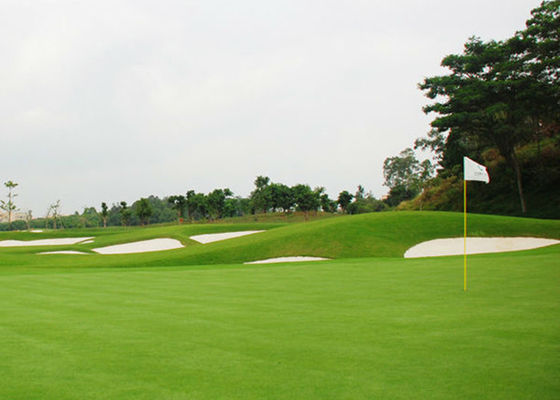 Odm Oem 10mm Outdoor Golf สนามหญ้าสีเขียว Styrene Butadiene Latex
